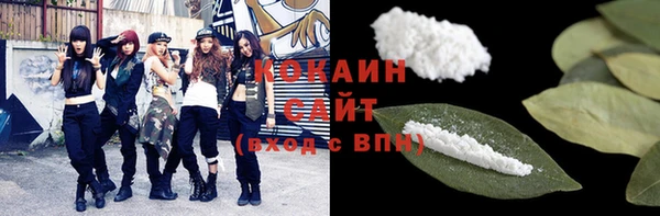 стаф Дмитровск