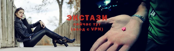 стаф Дмитровск