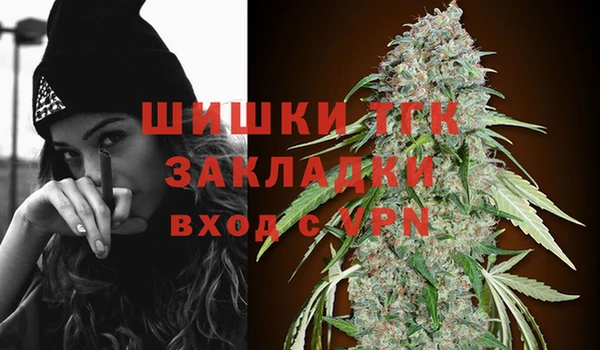 стаф Дмитровск