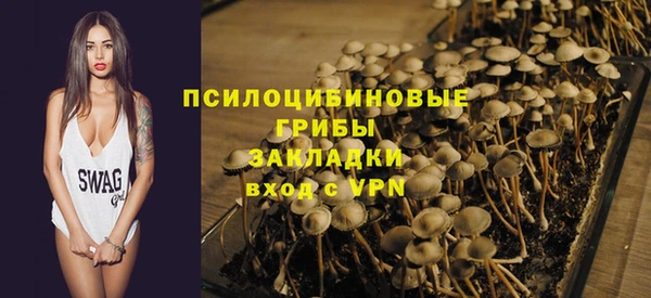 стафф Дмитриев
