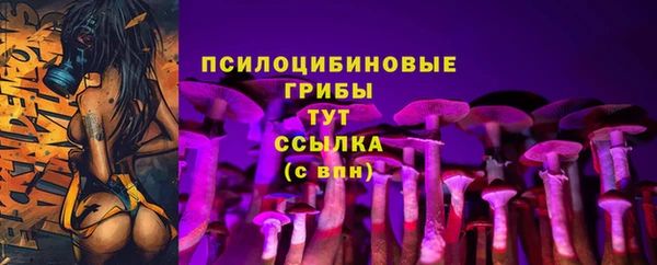 стаф Дмитровск