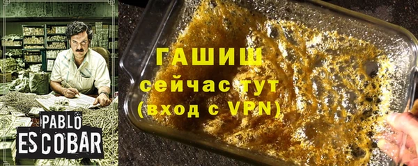 стаф Дмитровск